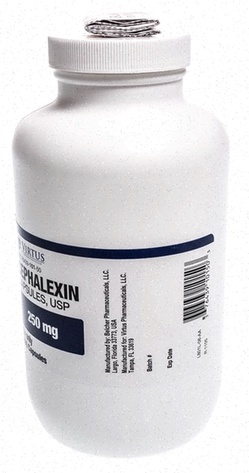 Cephalexin générique