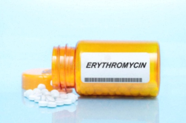 erythromycin