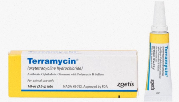 terramycin